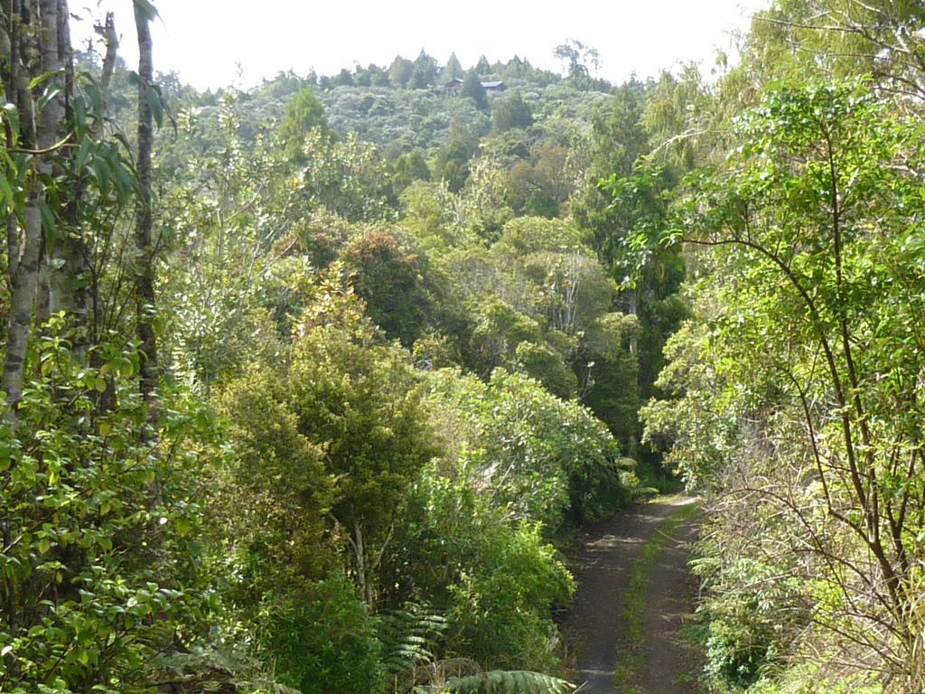 Fern Ridge Hideaway Victoria Valley Exterior foto